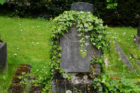 Bad Godesberg